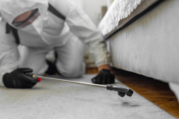 Professional Bed Bug Control technician working in Whitmore Lake, MI