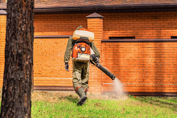 Trusted Termite Control service in Whitmore Lake, MI - Nex Pest Control